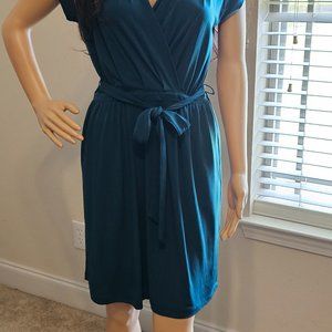 Banana Republic ~ Size S ~ Teal Green Professional Dress
